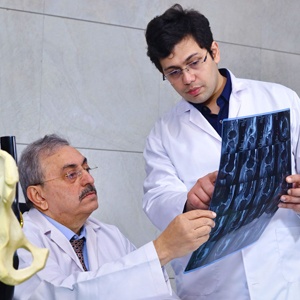 About Ortho 1
