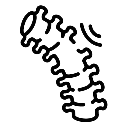 Major spine surgeries
